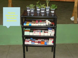 Plantas Medicinais e Remédios alopáticos 