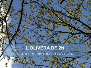L’OLIVERA DE 2N
CLASSE MONSTRES CURS 13-14
 