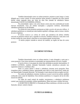 Também denominado corno ou coluna posterior, projeta-se mais longe e é mais
delgado que o corno ventral. O corno posterior quase alcança a superfície do sulco lateral
dorsal, sendo separada deste por meio de uma fina camada de substância branca
denominada FASCÍCULO DORSOLATERAL.
           Na extremidade ( ápice ) do corno dorsal, existe uma área contituída por tecido
nervoso translúcido, ricos em células neuroglias e pequenos nerônios, denominada
substância gelatinosa ou de Rolando.
           As células do corno posterior pertencem ao lado sensitivo de um arco reflexo. A
substância gelatinosa se estende por toda medula espinhal e oblonga, onde se torna o núcleo
do nervo trigêmeo.
           O núcleo torácico ou coluna de clarke que estende-se da sétima vértebra
cervical ou primeira torácica até a segunda ou terceira vértebras torácicas é uma área oval
na base medial do corno dorsal, relaciona-se com propriocepção inconsciente.
             O núcleo próprio estende-se através da medula, na região da base do corno
posteror.




                                     O CORNO VENTRAL



            Também denominado corno ou coluna anterior, é mais alongado e curto que o
corno posterior. Este corno encontra-se aumentado nas intumescências cervical e lombar.
            O núcleo frênico é um grupo de céulas bem definidas na porção intermediária. O
CORNO LATERAL, também chamado Intermédio Lateral, encontra-se presente nos
segmentos torácicos e lombares altos.
            Entre os cornos lateral e dorsal a substância cinzenta envia projeções finas
irregulares para a substância branca, aparentando uma rede ao corte transversal, sendo por
isso denominado Formação Reticular. Tal formação é mais desenvolvida na região cervical.
            No centro da substância cinzenta, localiza-se ocanal central da medula, também
conhecido como canal do Epêndima. Esta estrutura anatômica é o resquício da luz do tubo
neural do embrião.
            Ao redor do canal central da medula, encontramos a substância gelatinosa
central, que consiste de neuróglia, células ependimárias, fibras nervosas e células nervosas.
            A SUBSTÂNCIA BRANCA é formada por fibras mielínicas e divide-se em três
funículos: dorsal, ventral e lateral.



                                     FUNÍCULO DORSAL
 