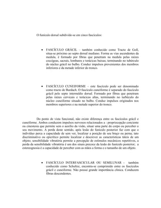 O funículo dorsal subdivide-se em cinco fascículos:



              •   FASCÍCULO GRÁCIL – também conhecido como Tracto de Goll,
                  situa-se próximo ao septo dorsal mediano. Forma as vias ascendentes da
                  medula, é formado por fibras que penetram na medula pelas raízes
                  coccígeas, sacrais, lombares e torácicas baixas; terminando no tubérculo
                  do núcleo grácil no bulbo. Conduz impulsos provenientes dos membros
                  inferiores e da metade inferior do tronco.




              •   FASCÍCULO CUNEIFORME – este fascículo pode ser denominado
                  como tracto de Burdach. O fascículo cuneiforme é separado do fascículo
                  grácil pelo septo intermédio dorsal. Formado por fibras que penetram
                  pelas raízes cervicais e torácicas altas, terminando no turbéculo do
                  núcleo cuneiforme situado no bulbo. Conduz impulsos originados nos
                  membros superiores e na metade superior do tronco.



           Do ponto de vista funcional, não existe diferença entre os fascículos grácil e
cuneiforme. Ambos conduzem impulsos nervosos relacionados a : propriocepção conciente
ou cinestesia que permite sem o auxílio da visão, situar uma parte do corpo ou perceber o
seu movimento. A perda deste sentido, após lesão do funículo posterior faz com que o
indivíduo perca a capacidade de sem ver, localizar a posição de seu braço ou perna; tato
discriminativo ou epicrítico permite localizar e descrever as características táteis de um
objeto; sensibilidade vibratória permite a percepção de estímulos mecânicos repetitivos, a
perda da sensibilidade vibratória é um dos sinais precoce da lesão do funículo posterior; a
estereognosia é a capacidade de perceber com as mãos a forma e o tamanho de um objeto.



              •   FASCÍCULO INTERFASCICULAR OU SEMILUNAR - também
                  conhecido como Schultze, encontra-se comprimido entre os fascículos
                  grácil e cuneiforme. Não possuí grande importância clínica. Conduzem
                  fibras descendentes.
 