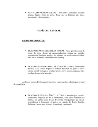 •   FASCÍCULO PRÓPRIO DORSAL – está junto a substância cinzenta
                  central. Recebe fibras do corno dorsal que se bifurcam em ramos
                  ascendentes e descendentes.




                              FUNÍCULO LATERAL



          FIBRAS ASCENDENTES :




              •   TRACTO ESPINHO CEREBELAR DORSAL – faixa que se estende da
                  ponta do corno dorsal até aproximadamente metade do caminho
                  ventralmente. Inicia-se ao nível do segundo ou terceiro nervo lombar.
                  Este tracto também é conhecido como Flechsig.



              •   TRACTO ESPINHO CEREBELAR VENTRAL – (Tracto de Gouwes)
                  Estende-se do Tracto Espinho Cerebelar Posterior até quase o sulco
                  ventral lateral. Começa ao nível do terceiro nervo lombar, seguindo até o
                  penduncúlo cerebelar superior.



           Ambos os tractos são fibras proprioceptivas cujos impulsos não atingem o nível
da consciência.




              •   TRACTO ESPINHO TALÂMICO LATERAL – possuí trajeto cruzado,
                  conduzindo impulsos de dor e temperatura, suas fibras terminam no
                  tálamo. Em certos casos de dor decorrente principalmente de câncer,
                  aconselha-se o tratamento cirúrgico por secção do Tracto Espinho
                  Talâmico Lateral, esta técnica é denominada cordotomia.
 
