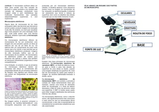 confocal. O microscópio confocal utiliza um
laser para excitar uma fina camada da
amostra e coleta somente a luz emitida pela
camada de interesse, produzindo uma
imagem nítida e sem interferência das
moléculas fluorescentes das camadas
adjacentes44start superscript, 4, end
superscript.
Microscópios eletrônicos
Alguns tipos de microscopia de luz mais
avançados (além das técnicas que discutimos
acima) podem produzir imagens de resolução
muito alta. No entanto, se você quer visualizar
algo muito pequeno em uma resolução muito
alta, você pode querer usar uma técnica
diferente, testada e aprovada: a microscopia
eletrônica.
Os microscópios eletrônicos diferem de
microscópios de luz por produzirem uma
imagem de uma amostra usando um feixe de
elétrons em vez de um feixe de luz. Os
elétrons têm um comprimento de onda muito
menor que a luz visível, e isso permite que os
microscópios eletrônicos produzam imagens
de alta resolução melhor que as de
microscópios de luz padrão. Os microscópios
de eletrônicos podem ser usados para
examinar não apenas a célula, mas também
as estruturas subcelulares (organelas) e seus
compartimentos.
Uma limitação, no entanto, é que as amostras
da microscopia eletrônica devem ser
colocadas sob vácuo (e normalmente são
preparadas através de um processo extensivo
de fixação). Isso significa que células vivas
não podem ser fotografadas na microscopia
eletrônica.
Imagens da bactéria Salmonella produzidas por microscopia de luz e
microscopia eletrônica de varredura. Muitos outros detalhes podem
ser vistos na eletromicrografia de varredura. Crédito da imagem:
OpenStax Biology. Crédito a: Imagem modificada do original por
CDC/Armed Forces Institute of Pathology, Charles N. Farmer, Rocky
Mountain Laboratories; Crédito b: Imagem modificada do original por
NIAID, NIH; dados da escala de Matt Russell.
Na imagem acima, é possível comparar a
aparência da bactéria Salmonella em uma
micrografia (esquerda) com uma imagem
produzida por um microscópio eletrônico
(direita). A bactéria aparece como pequenos
pontos roxos na imagem do microscópio de
luz, enquanto na eletromicrografia, é possível
ver claramente sua forma e textura da
superfície, bem como os detalhes das células
humanas que as elas estão tentando invadir.
Imagem de um microscópio eletrônico. Ele é muito grande,
aproximadamente do tamanho de um forno industrial. Crédito da
imagem: OpenStax Biology. Imagem modificada do original por Evan
Bench.
Existem dois tipos principais de microscopia
eletrônica. Na microscopia eletrônica de
varredura (MEV), um feixe de elétrons move-
se para a frente e para trás através da
superfície de uma célula ou tecido, criando
uma imagem detalhada da superfície 3D. Este
tipo de microscopia foi usado para realizar a
imagem da bactéria Salmonella mostrada à
direita, acima.
Na microscopia eletrônica de
transmissão (MET), ao contrário, a amostra é
cortada em fatias extremamente finas (por
exemplo, usando uma borda de diamante)
antes da visualização, e o feixe de elétron
atravessa a fatia ao invés de percorrer sobre
sua superfície. O MET é muitas vezes usado
para obter imagens detalhadas das estruturas
internas das células.
Os microscópios eletrônicos, como o descrito
acima, são significativamente mais volumosos
e mais caros do que os microscópios óticos
convencionais, e isso não é surpreendente se
considerarmos as partículas subatômicas que
são examinadas!
VEJA ABAIXO UM RESUMO DAS PARTES
DO MICROSCÓPIO.
 