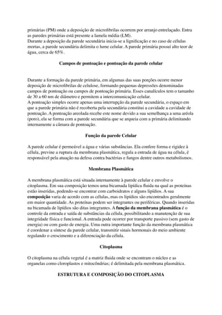 primárias (PM) onde a deposição de microﬁbrilas ocorrem por arranjo entrelaçado. Entra
as paredes primárias está presente a lamela média (LM).
Durante a deposição da parede secundária inicia-se a ligniﬁcação e no caso de células
mortas, a parede secundária delimita o lume celular. A parede primária possuí alto teor de
água, cerca de 65%.
Campos de pontoação e pontoação da parede celular
Durante a formação da parede primária, em algumas das suas porções ocorre menor
deposição de microﬁbrilas de celulose, formando pequenas depressões denominadas
campos de pontoação ou campos de pontoação primária. Esses canalículos tem o tamanho
de 30 a 60 nm de diâmetro e permitem a intercomunicação celular.
A pontoação simples ocorre apenas uma interrupção da parede secundária, o espaço em
que a parede primária não é recoberta pela secundária constitui a cavidade a cavidade de
pontoação. A pontoação areolada recebe este nome devido a sua semelhança a uma aréola
(poro), ela se forma com a parede secundária que se arqueia com a primária delimitando
internamente a câmara de pontoação.
Função da parede Celular
A parede celular é permeável a água e várias substâncias. Ela confere forma e rigidez à
célula, previne a ruptura da membrana plasmática, regula a entrada de água na célula, é
responsável pela atuação na defesa contra bactérias e fungos dentre outros metabolismos.
Membrana Plasmática
A membrana plasmática está situada internamente à parede celular e envolve o
citoplasma. Em sua composição temos uma bicamada lipídica ﬂuida na qual as proteínas
estão inseridas, podendo-se encontrar com carboidratos e alguns lipídios. A sua
composição varia de acordo com as células, mas os lipídios são encontrados geralmente
em maior quantidade. As proteínas podem ser integrantes ou periféricas. Quando inseridas
na bicamada de lipídios são ditas integrantes. A função da membrana plasmática é o
controle da entrada e saída de substâncias da célula, possibilitando a manutenção de sua
integridade física e funcional. A entrada pode ocorrer por transporte passivo (sem gasto de
energia) ou com gasto de energia. Uma outra importante função da membrana plasmática
é coordenar a síntese da parede celular, transmitir sinais hormonais do meio ambiente
regulando o crescimento e a diferenciação da célula.
Citoplasma
O citoplasma na célula vegetal é a matriz ﬂuida onde se encontram o núcleo e as
organelas como cloroplastos e mitocôndrias; é delimitada pela membrana plasmática.
ESTRUTURA E COMPOSIÇÃO DO CITOPLASMA
 
