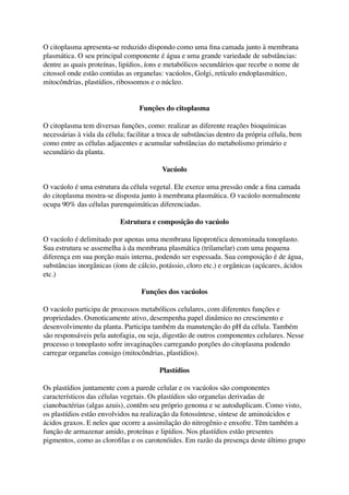 O citoplasma apresenta-se reduzido dispondo como uma ﬁna camada junto à membrana
plasmática. O seu principal componente é água e uma grande variedade de substâncias:
dentre as quais proteínas, lipídios, íons e metabólicos secundários que recebe o nome de
citossol onde estão contidas as organelas: vacúolos, Golgi, retículo endoplasmático,
mitocôndrias, plastídios, ribossomos e o núcleo.
Funções do citoplasma
O citoplasma tem diversas funções, como: realizar as diferente reações bioquímicas
necessárias à vida da célula; facilitar a troca de substâncias dentro da própria célula, bem
como entre as células adjacentes e acumular substâncias do metabolismo primário e
secundário da planta.
Vacúolo
O vacúolo é uma estrutura da célula vegetal. Ele exerce uma pressão onde a ﬁna camada
do citoplasma mostra-se disposta junto à membrana plasmática. O vacúolo normalmente
ocupa 90% das células parenquimáticas diferenciadas.
Estrutura e composição do vacúolo
O vacúolo é delimitado por apenas uma membrana lipoprotéica denominada tonoplasto.
Sua estrutura se assemelha à da membrana plasmática (trilamelar) com uma pequena
diferença em sua porção mais interna, podendo ser espessada. Sua composição é de água,
substâncias inorgânicas (íons de cálcio, potássio, cloro etc.) e orgânicas (açúcares, ácidos
etc.)
Funções dos vacúolos
O vacúolo participa de processos metabólicos celulares, com diferentes funções e
propriedades. Osmoticamente ativo, desempenha papel dinâmico no crescimento e
desenvolvimento da planta. Participa também da manutenção do pH da célula. Também
são responsáveis pela autofagia, ou seja, digestão de outros componentes celulares. Nesse
processo o tonoplasto sofre invaginações carregando porções do citoplasma podendo
carregar organelas consigo (mitocôndrias, plastídios).
Plastídios
Os plastídios juntamente com a parede celular e os vacúolos são componentes
característicos das células vegetais. Os plastídios são organelas derivadas de
cianobactérias (algas azuis), contêm seu próprio genoma e se autoduplicam. Como visto,
os plastídios estão envolvidos na realização da fotossíntese, síntese de aminoácidos e
ácidos graxos. E neles que ocorre a assimilação do nitrogênio e enxofre. Têm também a
função de armazenar amido, proteínas e lipídios. Nos plastídios estão presentes
pigmentos, como as cloroﬁlas e os carotenóides. Em razão da presença deste último grupo
 