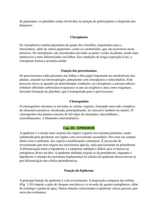 de pigmentos, os plastídios estão envolvidos na atração de polinizadores e dispersão dos
diásporos.
Cloroplastos
Os cloroplastos contêm pigmentos do grupo das cloroﬁlas, importantes para a
fotossíntese, além de outros pigmentos, como os carotenóides, que são acessórios neste
processo. Os cloroplastos são encontrados em todas as partes verdes da planta, sendo mais
numerosos e mais diferenciados em folhas. Em condições de longa exposição à luz, o
cloroplasto forma e acumula amido.
Função dos peroxissomos
Os peroxissomos estão presentes nas folhas e têm papel importante no metabolismo das
plantas, atuando na fotorrespiração, juntamente com cloroplastos e mitocôndrias. Este
processo inicia-se quando em determinadas condições, no cloroplasto, a enzima rubisco
(ribulose difosfato carboxilase/oxigenase) se une ao oxigênio e atua como oxigenase,
havendo formação de glicolato, que é transportado para o peroxissomo.
Citoesqueleto
O citoesqueleto encontra-se em todas as células vegetais, formando uma rede complexa
de elementos protéicos, localizada, principalmente, no citossol e também no núcleo. O
citoesqueleto das plantas consiste de três tipos de elementos: microtúbulos ,
microﬁlamentos e ﬁlamentos intermediários.
Cap. III - EPIDERME
A epiderme é o tecido mais externo dos órgãos vegetais em estrutura primária, sendo
substituída pela periderme em órgãos com crescimento secundário. Por estar em contato
direto com o ambiente, ﬁca sujeita a modiﬁcações estruturais. É um tecido de
revestimento que tem origem nos meristemas apicais, mais precisamente na protoderme.
A diferenciação entre a hipoderme e a epiderme múltipla é difícil, pois se baseia na
ontogênese destes tecidos. A epiderme múltipla origina-se da protoderme, enquanto a
hipoderme é oriunda do meristema fundamental.As células da epiderme desenvolvem-se
por diferenciação das células proíodérmicas.
Função da Epiderme
A principal função da epiderme é a de revestimento. A disposição compacta das células
(Fig. 3.10) impede a ação de choques mecânicos e a invasão de agentes patogênicos, além
de restringir a perda de água. Outras funções relacionadas à epiderme: trocas gasosas, por
meio dos estômatos;
 