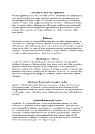 Características das Células Epidérmicas
As células epidérmicas são vivas, vacuoladas, podendo conter vários tipos de substâncias,
como taninos, mucilagem, cristais e pigmentos, a exemplo das antocianinas, que são
comuns em pétalas e folhas coloridas. Cloroplastos são encontrados principalmente na
epiderme dos órgãos aéreos das plantas aquáticas ou terrestres de ambientes sombreados.
Esses cloroplastos podem ser bem desenvolvidos e conter amido ou apresentar tamanho
reduzido. A parede das células epidérmicas apresenta cutina, principalmente nas partes
aéreas da planta. A cutina é um composto de lipídios. As células epidérmicas podem
conter lignina
Estômatos
Os estômatos originam-se de uma célula protodérmica, cuja célula menor resultante é a
célula-mãe. Ela se divide paralelamente formando as duas células-guarda do estômato. Os
estômatos estão relacionados com a entrada e saída de ar no interior dos órgãos em que se
encontram ou, ainda, com a saída de água. no caso dos estômatos ou poros aquíferos dos
hidatódíos. O estômato pode desenvolver-se entre as células comuns da epiderme ou entre
as células subsidiárias, cujo número e disposição são variáveis.
Classiﬁcação dos estômatos
Os estômatos podem ser classiﬁcados quanto à origem, número e forma das células
subsidiárias. Quando as células subsidiárias têm a mesma origem das células estomáticas,
o estômato é denominado mesógeno; quando têm origem de células protodérmicas
adjacentes à célula-mãe do estômato, é chamado de perígeno, e quando a origem é mista,
o estômato é denominado mesoperígeno. Seu mecanismo de abertura e fechamento dá-se
pela variação de turgescência, onde pode se controlar a abertura e fechamento da fenda
estomática.
Distribuição dos estômatos nos órgãos vegetais
Quando os estômatos apresentam dimensões maiores que os demais, são denominados
estômatos gigantes.Os estômatos são freqüentes nas partes aéreas fotossintetizantes,
principalmente na lâmina foliar, e podem também ser encontrados, em menor número, nos
pecíolos, caules jovens e partes ﬂorais, como pétalas, estames e gineceu, além de frutos e
sementes.
Apêndices Epidérmicos (tricomas)
Os apêndices de origem epidérmica, comumente denominados tricomas, são muito
variáveis na sua estrutura e de valor diagnóstico para a taxonomia. Como os tricomas
apresentam grande variedade de formas, podem ser classiﬁcados de diversas maneiras. A
sua classiﬁcação em tectores, ou não-glandulares, e glandulares é uma das mais simples.
Os tricomas tectores podem ser unicelulares, ou simples, e multicelulares. Os tricomas
simples são comuns e podem variar em tamanho, forma e espessura da parede. Os
tricomas glandulares estão envolvidos com secreção de várias substâncias, como óleos,
néctar, sais, resinas, mucilagem, sucos digestivos e água.
 