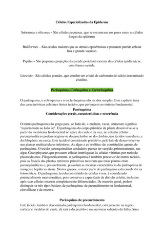 Células Especializadas da Epiderme
Suberosas e silicosas – São células pequenas, que se encontram aos pares entre as células
longas da epiderme
Buliformes – São células maiores que as demais epidérmicas e possuem parede celular
ﬁna e grande vacúolo.
Papilas – São pequenas projeções da parede periclinal externa das células epidérmicas,
com forma variada.
Litocisto - São células grandes, que contêm um cristal de carbonato de cálcio denominado
cistólito.
Parênquima, Colênquima e Esclerênquima
O parênquima, o colênquima e o esclerênquima são tecidos simples. Este capítulo trata
das características celulares destes tecidos, que pertencem ao sistema fundamental.
Parênquima
Considerações gerais, características e ocorrência
O termo parênquima (do grego para, ao lado de, + enchem, vazar, derramar) signiﬁca
"esparramado ao lado de". O parênquima do corpo primário da planta desenvolve-se a
partir do meristema fundamental no ápice do caule e da raiz, no entanto células
parenquimáticas podem originar-se do procâmbio ou do câmbio, nos tecidos vasculares, e
do felogênio, na casca. Este tecido é considerado primitivo, pelo fato de desenvolver-se
nas plantas multicelulares inferiores. As algas e as brióﬁtas são constituídas apenas de
parênquima. O tecido parenquimático verdadeiro parece ter surgido, primeiramente, nas
algas Charophyceae, que possuem células interligadas às células vizinhas por meio de
plasmodesmos. Filogeneticamente, o parênquima é também precursor de outros tecidos,
pois os fósseis das plantas terrestres primitivas mostram que estas plantas eram
parenquimáticas e, possivelmente, possuíam as mesmas características do parênquima de
musgos e hepáticas atuais. Nestes grupos, a maior parte do parênquima está envolvida na
fotossíntese. O parênquima, tecido constituído de células vivas, é considerado
potencialmente meristemático, pois conserva a capacidade de divisão celular, inclusive
após suas células estarem completamente diferenciadas. De maneira geral, podem
distinguir-se três tipos básicos de parênquima: de preenchimento ou fundamental,
cloroﬁliano e de reserva.
Parênquima de preenchimento
Este tecido, também denominado parênquima fundamental, está presente na região
cortical e medular do caule, da raiz e do pecíolo e nas nervuras salientes da folha. Suas
 