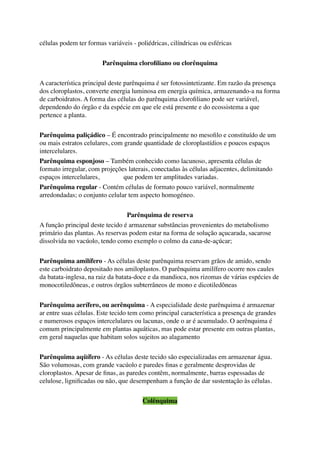 células podem ter formas variáveis - poliédricas, cilíndricas ou esféricas
Parênquima cloroﬁliano ou clorênquima
A característica principal deste parênquima é ser fotossintetizante. Em razão da presença
dos cloroplastos, converte energia luminosa em energia química, armazenando-a na forma
de carboidratos. A forma das células do parênquima cloroﬁliano pode ser variável,
dependendo do órgão e da espécie em que ele está presente e do ecossistema a que
pertence a planta.
Parênquima paliçádico – É encontrado principalmente no mesoﬁlo e constituído de um
ou mais estratos celulares, com grande quantidade de cloroplastídios e poucos espaços
intercelulares.
Parênquima esponjoso – Também conhecido como lacunoso, apresenta células de
formato irregular, com projeções laterais, conectadas às células adjacentes, delimitando
espaços intercelulares, que podem ter amplitudes variadas.
Parênquima regular - Contém células de formato pouco variável, normalmente
arredondadas; o conjunto celular tem aspecto homogéneo.
Parênquima de reserva
A função principal deste tecido é armazenar substâncias provenientes do metabolismo
primário das plantas. As reservas podem estar na forma de solução açucarada, sacarose
dissolvida no vacúolo, tendo como exemplo o colmo da cana-de-açúcar;
Parênquima amilífero - As células deste parênquima reservam grãos de amido, sendo
este carboidrato depositado nos amiloplastos. O parênquima amilífero ocorre nos caules
da batata-inglesa, na raiz da batata-doce e da mandioca, nos rizomas de várias espécies de
monocotiledôneas, e outros órgãos subterrâneos de mono e dicotiledôneas
Parênquima aerífero, ou aerênquima - A especialidade deste parênquima é armazenar
ar entre suas células. Este tecido tem como principal característica a presença de grandes
e numerosos espaços intercelulares ou lacunas, onde o ar é acumulado. O aerênquima é
comum principalmente em plantas aquáticas, mas pode estar presente em outras plantas,
em geral naquelas que habitam solos sujeitos ao alagamento
Parênquima aqüífero - As células deste tecido são especializadas em armazenar água.
São volumosas, com grande vacúolo e paredes ﬁnas e geralmente desprovidas de
cloroplastos. Apesar de ﬁnas, as paredes contêm, normalmente, barras espessadas de
celulose, ligniﬁcadas ou não, que desempenham a função de dar sustentação às células.
Colênquima
 