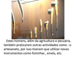 Estes homens, além da agricultura e pecuária,
também praticaram outras actividades como : o
artesanato, por isso tiveram que utilizar novos
instrumentos como foicinhas , enxós, etc.
 