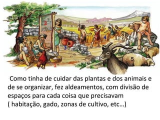 Como tinha de cuidar das plantas e dos animais e
de se organizar, fez aldeamentos, com divisão de
espaços para cada coisa que precisavam
( habitação, gado, zonas de cultivo, etc…)
 