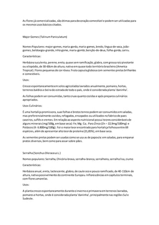 As floresjácomercializadas,sãoótimasparadecoraçãocomestível e podemserutilizadaspara
os mesmosusosbásicoscitados.
Major Gomes (TalinumPaniculatum)
NomesPopulares:major-gomes,maria-gorda,maria-gomes,bredo,língua-de-vaca,joão-
gomes,beldoegra-grande,inhá-gome,maria-gombi,benção-de-deus,folha-gorda,cariru.
Características:
Herbáceasuculenta,perene,ereta,quase semramificação,glabra,comgrossaraizpivotante
ou xilopódio,de 30-60cm de altura,nativaemquase todo territóriobrasileiro (America
Tropical).Florespequenasde corrósea.Frutocapsulaglobosacom sementespretasbrilhantes
e comestíveis.
Usos:
Cresce espontaneamenteemsolosagricoladoslavrados anualmente,pomares,hortas,
terrenosbaldiose beirade estradade todoo país, onde é consideradaplanta‘daninha’.
As folhaspodemserconsumidas,tantocruasquantocozidase apóspreparosculinários
apropriados.
Usos Culinários:
É uma hortaliçapromissora,suasfolhase brotostenrospodemserconsumidosemsaladas,
mas preferencialmente cozidos,refogados,ensopados ouutilizadosnofabricode paes
caseiros,suflêse cremes.Emrelaçãoaoaspectonutricional possui teoresconsideráveisde
algunsminerais(mg/100g,embase seca):Fe;Mg; Ca;. Para Zinco(Zn – 22,9mg/100mg) e
Potássio(K- 6.800mg/100g). Foi o maiorteorencontradopara hortaliçafolhosaentre 69
espécies,alémde apresentaraltoteorde proteína(21,85%),embase seca.
As sementespretas podemserusadascomose usa as de papoula:emsaladas,para empanar
pratos diversos,bemcomoparaassar sobre pães.
Serralha(SonchusOleraceusL.)
Nomespopulares:Serralha,Chicória-brava,serralha-branca,serralheira,serralhalisa,ciumo
Características:
Herbáceaanual,ereta,lactescente,glabra,de caule ocoe poucoramificado,de 40-110cm de
altura,nativapossivelmente docontinente Europeu.Inflorescênciasemcapítulosterminais,
com floresamarelas.
Usos:
A plantacresce espontaneamente duranteoinvernoe primaveraemterrenoslavrados,
pomarese hortas, onde é consideradaplanta‘daninha’,principalmentenasregiõesSul e
Sudeste.
 