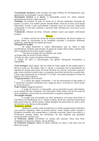 Transmissão mecânica: pode carregar nas patas milhões de microrganismos que,
dependendo da quantidade, causam doenças.
Dermatobia hominis e o berne: A Dermatobia ocorre em vários animais,
principalmente bovinos, cães e homem.
Patologia: Ao penetrar na pele, as larvas de D. hominis despertam sensação de
picada ou prurido, mas podem passar despercebidas. Inicia-se no local, uma reação
inflamatória, ficando a pele avermelhada e elevada como um furúnculo. Cada lesão
corresponde a uma larva, podendo o paciente estar infestado por uma única ou por
muitas larvas.
Tratamento: extração da larva. Contudo, existem casos que exigem intervenção
cirúrgica.
Miíases
A miíase consiste em larvas de moscas domésticas. As larvas invadem os
tecidos sadios ou necrosados ou as cavidades corporais, e produzem diferentes
síndromes, dependendo da espécie de mosca.
Sifonápteros: pulgas
As pulga pertencem a ordem Siphonaptera, que se refere a duas
características bastante proeminentes do grupo de insetos desta ordem: ausência de
asas e aparelho bucal do tipo picador-sugador.
Três tipos de pulgas são encontrados nas casas:
a) Pulgas ditas do homem (Pulex irritans);
b) Pulas de cães e gatos (do gênero Ctenocephalides);
c) Pulgas de ratos e camundongos (do gênero Xenopsylla, Nosopsyllus e
Leptopsylla).
Ciclo biológico: Após alguns dias da saída do inseto adulto de seu estado pupal, a
fêmea já pode ser fecundada. Após a cópula, a oviposição fica na dependência da
ingestão de sangue pelo inseto. As larvas lembram as moscas. A primeira muda tem
lugar entre o terceiro a sétimo dias, e a segunda, decorridos outros três ou quatro dias.
A fase pupal desenvolve-se aí durante 7 a 10 dias, mas pode prolongar-se muito nos
lugares com inverno rigoroso.
Tunga penetrans (“bicho-do-pé”)
É a menor das pulgas conhecidas, 1 mm de comprimento na fase adulta. A
T. penetrans é também conhecida como “pulga da areia” e a fêmea é o “bicho-do-pé”
ou “bicho-do-porco”
Pulex irritans (“pulga do homem”)
A “pulga do homem” é cosmopolita, vive no domicílio humano, alimentando-
se do sangue de seus moradores. De modo geral, Pulex irritans vive fora do corpo de
seus hospedeiros, procurando-os somente para os repastos sanguíneos.
Xenopsylla cheopis
É a pulga mais encontrada nos ratos domésticos, em quase todo Brasil. A
importância da identificação da X. cheopis é devido desta ser a principal responsável
pela transmissão da Yersina pestis, agente etiológico da peste entre os ratos e entre
os humanos; uma doença muito perigosa.
Anopluros: piolhos
Anoplura é a ordem onde encontramos os insetos popularmente conhecidos
como piolhos sugadores. Além do prurido intenso, esses insetos podem veicular a
Rickettsia prowazeki (tifo exantemático), a Borrelia recurrentis (febre recorrente) e a
Rochlimaea quintana (febre das trincheiras). As três espécies que parasitam
exclusivamente o homem são:
a) Pediculus capitis: encontrado na cabeça das pessoas. Seus ovos ficam
cimentados na base dos cabelos, são as lêndeas;
b) Pediculus humanus: habita as partes cobertas do corpo e cola seus ovos às
fibras das roupas;
 