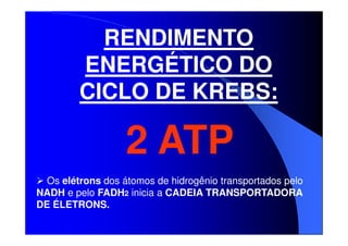 RENDIMENTO
ENERGÉTICO DO
CICLO DE KREBS:

2 ATP
Os elétrons dos átomos de hidrogênio transportados pelo
NADH e pelo FADH2 inicia a CADEIA TRANSPORTADORA
DE ÉLETRONS.

 