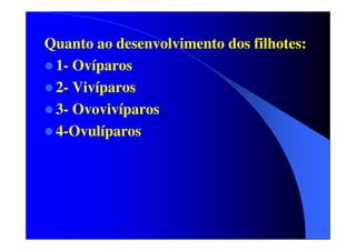Quanto ao desenvolvimento dos filhotes:
1- Ovíparos
2- Vivíparos
3- Ovovivíparos
4-Ovulíparos

 