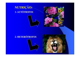 NUTRIÇÃO:
1- AUTÓTROFOS

2- HETERÓTROFOS

 