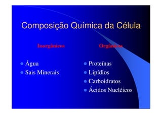Composição Química da Célula
Inorgânicos

Água
Sais Minerais

Orgânicos

Proteínas
Lipídios
Carboidratos
Ácidos Nucléicos

 