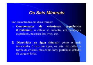 Os Sais Minerais
São encontrados em duas formas:
1) Componentes
de
estruturas
esqueléticas
(Cristalina): o cálcio se encontra em carapaças,
esqueletos, na casca dos ovos, etc.
2) Dissolvidos na água (iônica): como o meio
intracelular é rico em água, os sais não estão na
forma de cristais, mas como íons, partículas dotadas
de carga elétrica.

 