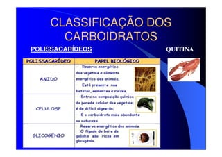 CLASSIFICAÇÃO DOS
CARBOIDRATOS
POLISSACARÍDEOS

QUITINA

 