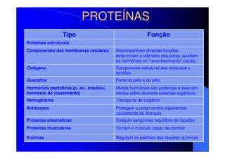 PROTEÍNAS
Tipo

Função

Proteínas estruturais
Componentes das membranas celulares

Desempenham diversas funções:
determinam o diâmetro dos poros; auxiliam
os hormônios no “reconhecimento” celular

Colágeno

Componente estrutural dos músculos e
tendões

Queratina

Parte da pele e do pêlo

Hormônios peptídicos (p. ex., insulina,
hormônio do crescimento)

Muitos hormônios são proteínas e exercem
efeitos sobre diversos sistemas orgânicos

Hemoglobina

Transporte de oxigênio

Anticorpos

Protegem o corpo contra organismos
causadores de doenças

Proteínas plasmáticas

Coágulo sangüíneo; equilíbrio de líquidos

Proteínas musculares

Tornam o músculo capaz de contrair

Enzimas

Regulam os padrões das reações químicas

 