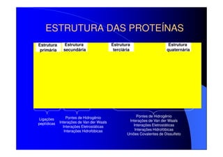 ESTRUTURA DAS PROTEÍNAS
Estrutura
primária

Não é possív el exibir esta imagem no momento.

Ligações
peptídicas

Estrutura
secundária

Pontes de Hidrogênio
Interações de Van der Waals
Interações Eletrostáticas
Interações Hidrofóbicas

Estrutura
terciária

Estrutura
quaternária

Pontes de Hidrogênio
Interações de Van der Waals
Interações Eletrostáticas
Interações Hidrofóbicas
Uniões Covalentes de Dissulfeto

 