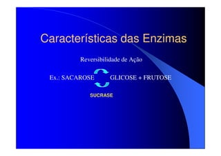 Características das Enzimas
Reversibilidade de Ação
Ex.: SACAROSE

GLICOSE + FRUTOSE

SUCRASE

 