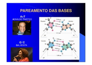 PAREAMENTO DAS BASES
A=T
AGNALDO TIMÓTEO

G C
GAL COSTA

 