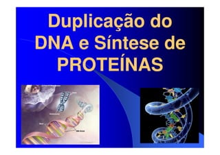 Duplicação do
DNA e Síntese de
PROTEÍNAS

 