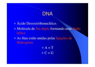 DNA
Ácido Desoxirribonucléico.
Molécula de fita dupla formando uma dupla
hélice
As fitas estão unidas pelas ligações de
Hidrogênio
A=T
C=G

 