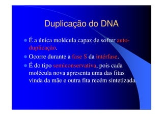 Duplicação do DNA
É a única molécula capaz de sofrer autoduplicação.
Ocorre durante a fase S da intérfase.
É do tipo semiconservativa, pois cada
molécula nova apresenta uma das fitas
vinda da mãe e outra fita recém sintetizada.

 