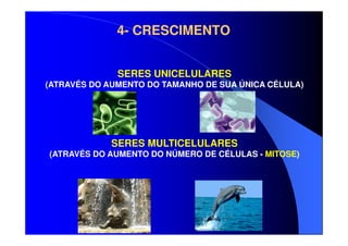 4- CRESCIMENTO
SERES UNICELULARES
(ATRAVÉS DO AUMENTO DO TAMANHO DE SUA ÚNICA CÉLULA)

SERES MULTICELULARES
(ATRAVÉS DO AUMENTO DO NÚMERO DE CÉLULAS - MITOSE)

 