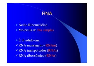 RNA
Ácido Ribonucléico
Molécula de fita simples
É dividido em:
RNA mensageiro (RNAm)
RNA transportador (RNAt)
RNA ribossômico (RNAr)

 