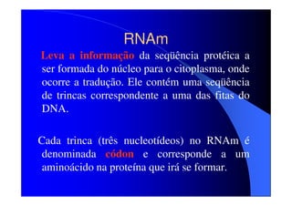 RNAm
Leva a informação da seqüência protéica a
ser formada do núcleo para o citoplasma, onde
ocorre a tradução. Ele contém uma seqüência
de trincas correspondente a uma das fitas do
DNA.
Cada trinca (três nucleotídeos) no RNAm é
denominada códon e corresponde a um
aminoácido na proteína que irá se formar.

 