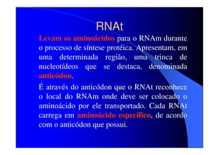RNAt
Levam os aminoácidos para o RNAm durante
o processo de síntese protéica. Apresentam, em
uma determinada região, uma trinca de
nucleotídeos que se destaca, denominada
anticódon.
É através do anticódon que o RNAt reconhece
o local do RNAm onde deve ser colocado o
aminoácido por ele transportado. Cada RNAt
carrega em aminoácido específico, de acordo
com o anticódon que possui.

 