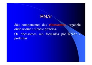 RNAr
São componentes dos ribossomos, organela
onde ocorre a síntese protéica.
Os ribossomos são formados por RNAr e
proteínas

 
