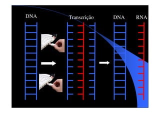 DNA

Transcrição

DNA

RNA

 