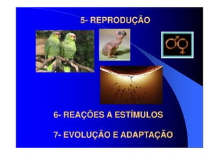 5- REPRODUÇÃO

6- REAÇÕES A ESTÍMULOS
7- EVOLUÇÃO E ADAPTAÇÃO

 