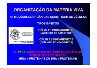 ORGANIZAÇÃO DA MATÉRIA VIVA
AS MOLÉCULAS ORGÂNICAS CONSTITUEM AS CÉLULAS
TIPOS BÁSICOS
CÉLULAS PROCARIONTES
(AUSÊNCIA DE CARIOTECA)

CÉLULAS EUCARIONTES
(COM NÚCLEO - CARIOTECA)

OS VÍRUS APRESENTAM MOLÉCULAS ORGÂNICAS
PORÉM SÃO ACELULARES
(RNA + PROTEÍNAS OU DNA + PROTEÍNAS)

 