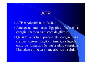 ATP
ATP = Adenosina tri-fosfato
Armazena nas suas ligações fosfatos a
energia liberada na quebra da glicose.
Quando a célula precisa de energia para
realizar alguma reação química, as ligações
entre os fosfatos são quebradas, energia é
liberada e utilizada no metabolismo celular.

 