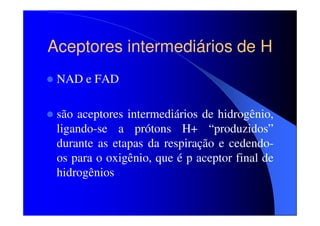 Aceptores intermediários de H
NAD e FAD
são aceptores intermediários de hidrogênio,
ligando-se a prótons H+ “produzidos”
durante as etapas da respiração e cedendoos para o oxigênio, que é p aceptor final de
hidrogênios

 