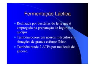 Fermentação Láctica
Realizada por bactérias do leite que é
empregada na preparação de iogurtes e
queijos.
Também ocorre em nossos músculos em
situações de grande esforço físico.
Também rende 2 ATPs por molécula de
glicose.

 