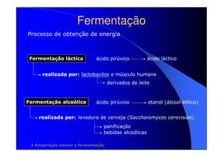 Fermentação
Processo de obtenção de energia

Fermentação láctica

ácido pirúvico

ácido láctico

realizada por: lactobacilos e músculo humano
derivados de leite

Fermentação alcoólica

ácido pirúvico

etanol (álcool etílico)

realizada por: levedura de cerveja (Saccharomyces cerevisiae)
panificação
bebidas alcoólicas
3 Respiração celular e fermentação

 