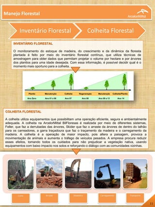 Plantio Manutenção Colheita Regeneração Manutenção Colheita/Plantio
Ano Zero Ano 01 a 06 Ano 07 Ano 08 Ano 09 a 13 Ano 14
Caracterização do Ciclo Florestal
Plantio Manutenção Colheita Regeneração Manutenção Colheita/Plantio
Ano Zero Ano 01 a 06 Ano 07 Ano 08 Ano 09 a 13 Ano 14
Caracterização do Ciclo Florestal
Inventário Florestal Colheita Florestal
INVENTÁRIO FLORESTAL
O monitoramento do estoque de madeira, do crescimento e da dinâmica da floresta
plantada é feito por meio do inventário florestal contínuo, que utiliza técnicas de
amostragem para obter dados que permitam projetar o volume por hectare e por árvores
dos plantios para uma idade desejada. Com essa informação, é possível decidir qual é o
momento mais oportuno para a colheita.
Manejo Florestal
COLHEITA FLORESTAL
A colheita utiliza equipamentos que possibilitam uma operação eficiente, segura e ambientalmente
adequada. A colheita na ArcelorMittal BilFloresas é realizada por meio de diferentes sistemas,
Feller, que faz a derrubadas das árvores, Skider que faz o arraste da árvores de dentro do talhão
para os carreadores, a garra traçadoura que faz o traçamento da madeira e o carregamento da
madeira. A colheita é a operação de maior impacto, pois altera a paisagem, provoca a
movimentação de animais e aumenta o tráfego de veículos pesados. A empresa procura reduzir
esses efeitos, tomando todos os cuidados para não prejudicar a vegetação nativa, usando
equipamentos com baixo impacto nos solos e reforçando o diálogo com as comunidades vizinhas.
11
 