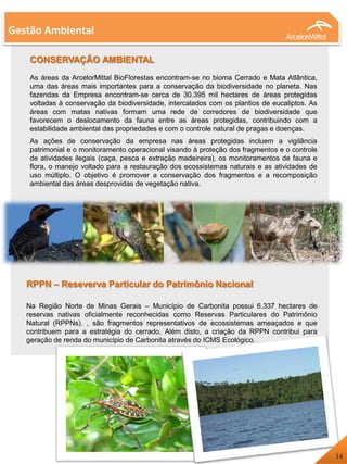 Gestão Ambiental
CONSERVAÇÃO AMBIENTAL
As áreas da ArcelorMittal BioFlorestas encontram-se no bioma Cerrado e Mata Atlântica,
uma das áreas mais importantes para a conservação da biodiversidade no planeta. Nas
fazendas da Empresa encontram-se cerca de 30.395 mil hectares de áreas protegidas
voltadas à conservação da biodiversidade, intercalados com os plantios de eucaliptos. As
áreas com matas nativas formam uma rede de corredores de biodiversidade que
favorecem o deslocamento da fauna entre as áreas protegidas, contribuindo com a
estabilidade ambiental das propriedades e com o controle natural de pragas e doenças.
As ações de conservação da empresa nas áreas protegidas incluem a vigilância
patrimonial e o monitoramento operacional visando à proteção dos fragmentos e o controle
de atividades ilegais (caça, pesca e extração madeireira), os monitoramentos de fauna e
flora, o manejo voltado para a restauração dos ecossistemas naturais e as atividades de
uso múltiplo. O objetivo é promover a conservação dos fragmentos e a recomposição
ambiental das áreas desprovidas de vegetação nativa.
RPPN – Reseverva Particular do Patrimônio Nacional
Na Região Norte de Minas Gerais – Município de Carbonita possui 6.337 hectares de
reservas nativas oficialmente reconhecidas como Reservas Particulares do Patrimônio
Natural (RPPNs). , são fragmentos representativos de ecossistemas ameaçados e que
contribuem para a estratégia do cerrado. Além disto, a criação da RPPN contribui para
geração de renda do município de Carbonita através do ICMS Ecológico.
14
 