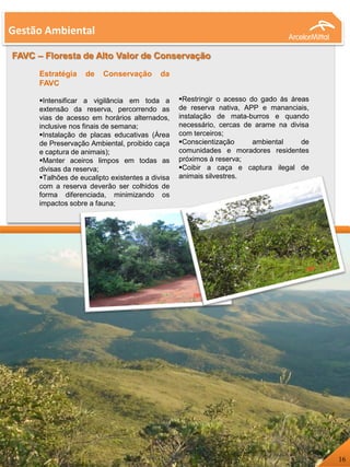 Gestão Ambiental
FAVC – Floresta de Alto Valor de Conservação
Estratégia de Conservação da
FAVC
Intensificar a vigilância em toda a
extensão da reserva, percorrendo as
vias de acesso em horários alternados,
inclusive nos finais de semana;
Instalação de placas educativas (Área
de Preservação Ambiental, proibido caça
e captura de animais);
Manter aceiros limpos em todas as
divisas da reserva;
Talhões de eucalipto existentes a divisa
com a reserva deverão ser colhidos de
forma diferenciada, minimizando os
impactos sobre a fauna;
Restringir o acesso do gado às áreas
de reserva nativa, APP e mananciais,
instalação de mata-burros e quando
necessário, cercas de arame na divisa
com terceiros;
Conscientização ambiental de
comunidades e moradores residentes
próximos à reserva;
Coibir a caça e captura ilegal de
animais silvestres.
16
 