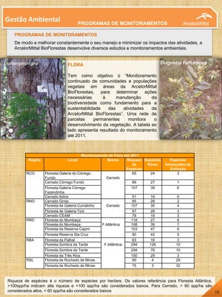 PROGRAMAS DE MONITORAMENTOS
De modo a melhorar constantemente o seu manejo e minimizar os impactos das atividades, a
ArcelorMittal BioFlorestas desenvolve diversos estudos e monitoramentos ambientais.
Gestão Ambiental
FLORA
Tem como objetivo o “Monitoramento
continuado de comunidades e populações
vegetais em áreas da ArcelorMittal
BioFlorestas, para determinar ações
necessárias à manutenção da
biodiversidade como fundamento para a
sustentabilidade das atividades da
ArcelorMittal BioFlorestas”. Uma rede de
parcelas permanentes monitora o
desenvolvimento da vegetação. A tabela ao
lado apresenta resultado do monitoramento
até 2011.
Monitoramento de Flora até 2011
Região Local Bioma Riqueza
de
Espécies
Espécies
Raras
Espécies
Ameaçadas de
Extinção
RCO Floresta Galeria do Córrego
Fundo Cerrado
65 24 3
Cerrado Córrego Fundo 89 27 1
Floresta Galeria Córrego
Fazendinha
107 39 6
Cerrado Ibitira 51 16 0
RNO Cerrado Grota
Cerrado
85 28 2
Floresta de Galeria Curralinho 107 35 4
Floresta de Galeria Ticó 67 28 3
Cerrado CEAM 79 18 3
RRD Floresta do Mumbaça
F.Atlântica
118 27 8
Floresta do Mumbaça 108 39 7
Floresta da Reserva Capim 103 47 9
Floresta Reserva Sta Cruz 90 42 5
RBA Floresta da Palhal
F.Atlântica
63 16 3
Floresta Sombra da Tarde 294 126 10
Floresta Sombra da Tarde 248 76 10
Floresta da Três Rios 150 29 3
RSL Floresta de Rochedo de Minas 90 4 29
Floresta de Rochedo de Minas 75 3 32
Riqueza de espécies é o número de espécies por hectare. Os valores referência para Floresta Atlântica,
>100spp/ha indicam alta riqueza e <100 spp/ha são considerados baixos. Para Cerrado, > 60 spp/ha são
considerados altos, < 60 spp/ha são considerados baixos 18
Duguetia furfuracea
PROGRAMAS DE MONITORAMENTOS
 