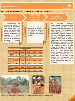 O planejamento dos
plantios, da colheita e
produção de biorredutor
para abastecimento das
usinas da ArcelorMittal
Brasil contempla o curto,
o médio e o longo prazo,
buscando a melhor
utilização dos recursos
naturais e minimizando
eventuais impactos
socioambientais.
Planejamento
TecnologiaAmbiental
epesquisa
A empresa desenvolve
pesquisas buscando o
aprimoramento genético
dos plantios e amelhoria
do sistema de manejo
florestal.
Planejamento
Tecnologia
Ambiental e
Pesquisa
Formação de
novas Florestas
FormaçãodeNovas
Florestas
As principais atividades
relacionadas à implantação florestal
são: limpeza da área manual,
química ou mecanizada, preparo de
solo manual ou mecanizado,
fertilização, plantio manual ou semi-
mecanizado, irrigação, controle de
formigas cortadeiras e replantio. O
plantio é realizado em áreas de
reforma (áreas onde já existia o
plantio de eucalipto). A ArcelorMittal
BioFlorestas somente realiza
implantação florestal em áreas que
não possuem cobertura florestal
nativa. No preparo de solo, a
ArcelorMittal BioFloresas utiliza a
técnica do Cultivo Mínimo. Essa
técnica consiste em preparar o solo
revolvendo o mínimo possível no
solo e sem uso de fogo, o que
favorece a manutenção das
características do solo, evitando
erosão, compactação e redução da
fertilidade.
Manejo Florestal
AS SEGUINTES ATIVIDADES FAZEM PARTE DO MANEJO FLORESTAL:
Planejamento 2016
Plantio
Ano
2012 2013 2014 2015 2016
Plantio
(há) 0 3.000 3.000 3.000 3.000
Produção de Biorredutor
Ano
2012 2013 2014 2015 2016
Biorredu
tor (m³) 1.460 1.650 1.850 2.250 2.500
Produção de Madeira
Ano
2012 2013 2014 2015 2016
Madeira
(m³) 1.752 1.980 2.220 2.700 3.000
plantio – (A) Subsolagem e fosfatagem, (B) plantio mecanizado e (C) muda plantada
9
 