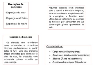 Exemplos de
poríferos
- Esponjas do mar
- Esponjas calcárias
- Esponjas-de-vidro
Algumas espécies eram utilizadas
para o banho e em outras limpezas,
esta apresentavam esqueleto macio
de espongina. » Também eram
utilizadas no tratamento de doenças
da tireóide, por apresentar em sua
constituição grande quantidade de
iodo.
Esponjas medicamento
Os cientista vêm estudando
essas substancias e produzindo
diversos medicamentos a partir
delas. O AZT, uma das primeiras
drogas utilizadas para combater o
vírus da Aids, foi produzido com
substancia química extraída de
uma esponja.
 