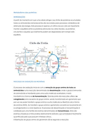Metabolismo das proteínas
INTRODUÇÃO
A partir do momento em que uma célula atinge o seu limite de proteínas acumuladas
todos os aminoácidos remanescentes são recrutados para processos catabólicos de
obtenção de energia. Este processo é apenas um último recurso visto ser importante
manter o equilíbrio entre as proteínas estruturais nos vários tecidos, as proteínas
circulantes e aquelas que realmente podem ser degradadas sem romper este
equilíbrio.

PROCESSO DE OXIDAÇÃO DE PROTEÍNAS
O processo de oxidação inicia-se com a remoção do grupo amima de todos os
aminoácidos numa reacção denominada de desaminação, onde o grupo é removido
do aminoácido e transferido para uma outra molécula aceitadora. A esta
transferência chama-se de transaminação. Grande parte das reacções utiliza o αcetoglutaratocomo receptor do grupo amina, sendo transformado em glutamato que
por sua vez pode transferir o grupo amina a outra molécula ou libertá-lo sob a forma
de amónia (NH3). Ao transferir o grupo amina o glutamato converte-se novamente em
α-cetoglutarato e o ciclo repete-se. O processo de desaminação e transaminação é
catalisado por uma família de enzimas denominadas de transaminases. Estas são
enzimas citosolicas e mitocondrias relativamente estáveis cuja actividade é facilmente
quantificada pelo que possuem interesse clínico.
A libertação do grupo amina do glutamato dá-se segundo a reacção:

 