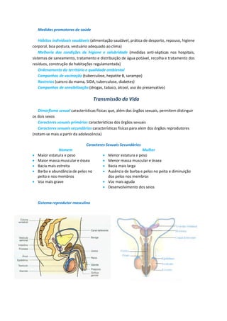 Medidas promotoras de saúde

    Hábitos individuais saudáveis (alimentação saudável, prática de desporto, repouso, higiene
corporal, boa postura, vestuário adequado ao clima)
    Melhoria das condições de higiene e salubridade (medidas anti-sépticas nos hospitais,
sistemas de saneamento, tratamento e distribuição de água potável, recolha e tratamento dos
resíduos, construção de habitações regulamentada)
    Ordenamento do território e qualidade ambiental
    Campanhas de vacinação (tuberculose, hepatite B, sarampo)
    Rastreios (cancro da mama, SIDA, tuberculose, diabetes)
    Campanhas de sensibilização (drogas, tabaco, álcool, uso do preservativo)

                                   Transmissão da Vida

   Dimorfismo sexual características físicas que, além dos órgãos sexuais, permitem distinguir
os dois sexos
   Caracteres sexuais primários características dos órgãos sexuais
   Caracteres sexuais secundários características físicas para alem dos órgãos reprodutores
(notam-se mais a partir da adolescência)

                               Caracteres Sexuais Secundários
              Homem                                           Mulher
 Maior estatura e peso                   Menor estatura e peso
 Maior massa muscular e óssea            Menor massa muscular e óssea
 Bacia mais estreita                     Bacia mais larga
 Barba e abundância de pelos no          Ausência de barba e pelos no peito e diminuição
  peito e nos membros                      dos pelos nos membros
 Voz mais grave                          Voz mais aguda
                                          Desenvolvimento dos seios


    Sistema reprodutor masculino
 