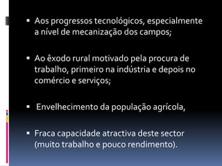 Aos progressos tecnológicos, especialmente a nível de mecanização dos campos;Ao êxodo rural motivado pela procura de trabalho, primeiro na indústria e depois no comércio e serviços; Envelhecimento da população agrícola,Fraca capacidade atractiva deste sector            (muito trabalho e pouco rendimento). 
